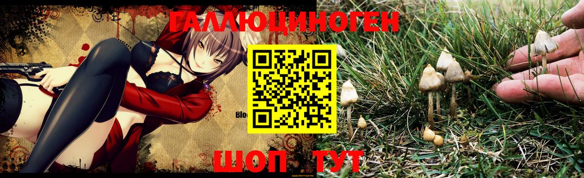 Новодвинск  Галлюциногенные грибы Magic Shrooms  Вход с VPN 