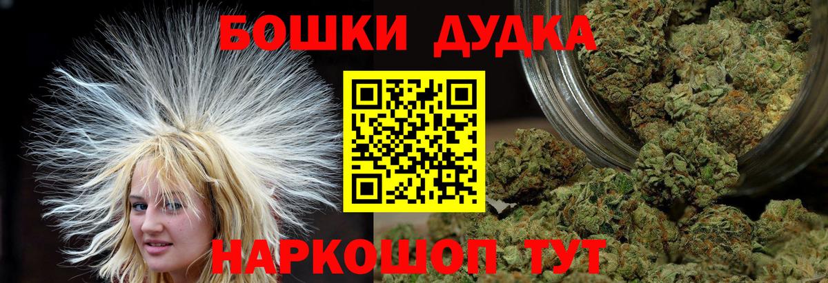 Канабис план Новодвинск